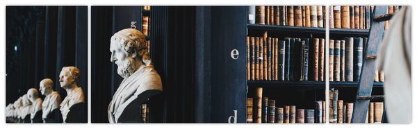 Obraz - W bibliotece (170x50 cm)