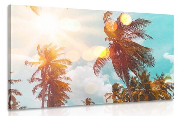 Obraz promienie słońca między palmami
