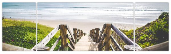 Obraz - Wejście na plażę (170x50 cm)