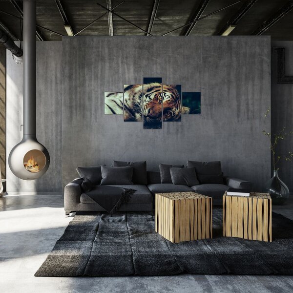 Obraz - tygrys syberyjski (125x70 cm)