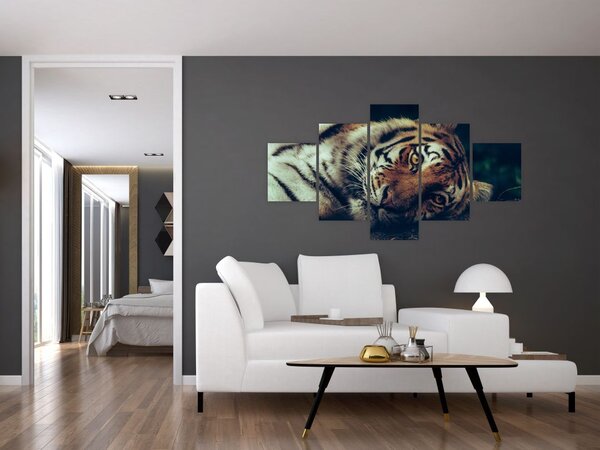 Obraz - tygrys syberyjski (125x70 cm)
