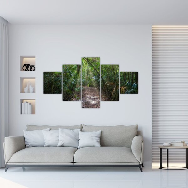 Obraz - Promienie słońca w dżungli (125x70 cm)