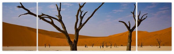 Obraz - Dolina Śmierci (170x50 cm)