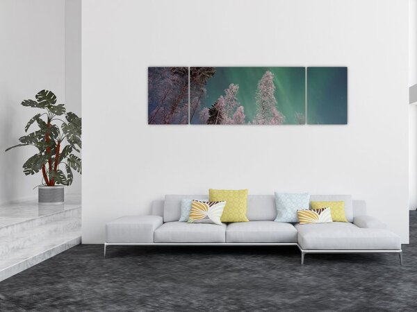 Obraz zorzy polarnej nad zamarzniętymi drzewami (170x50 cm)