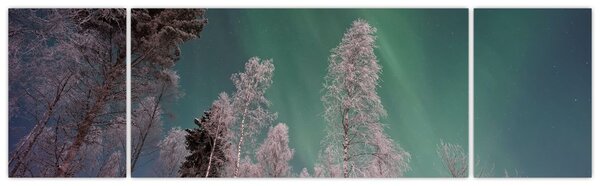 Obraz zorzy polarnej nad zamarzniętymi drzewami (170x50 cm)