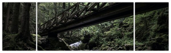 Obraz z czarnego lasu (170x50 cm)