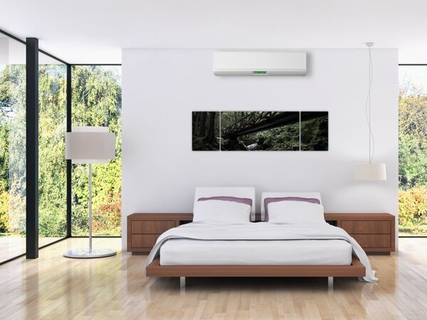 Obraz z czarnego lasu (170x50 cm)