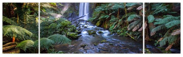Obraz australijskiego lasu deszczowego (170x50 cm)
