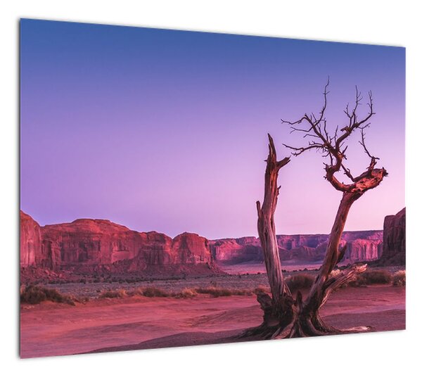 Obraz drzewa w pobliżu czerwonych skał (70x50 cm)