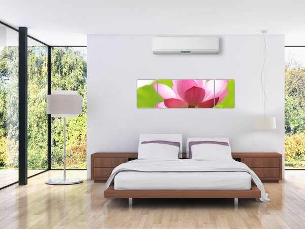 Obraz kwiatu lotosu (170x50 cm)