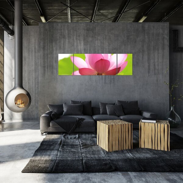 Obraz kwiatu lotosu (170x50 cm)