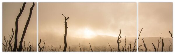 Obraz - Nagie drzewa (170x50 cm)