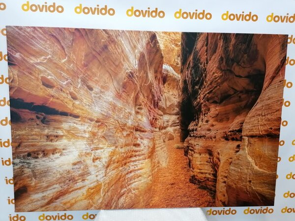 Obraz droga przez Grand Canyon