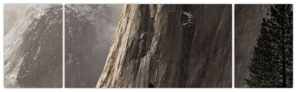 Zdjęcie z Parku Narodowego Yosemite Valley, USA (170x50 cm)