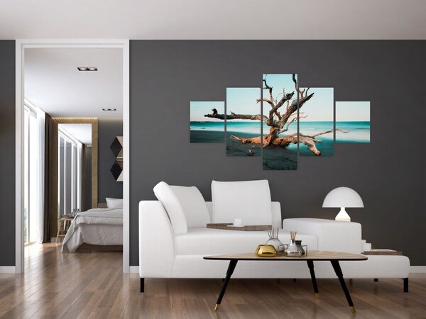 Obraz - Wyłowiono na plaży (125x70 cm)