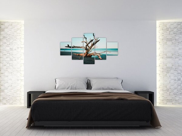 Obraz - Wyłowiono na plaży (125x70 cm)