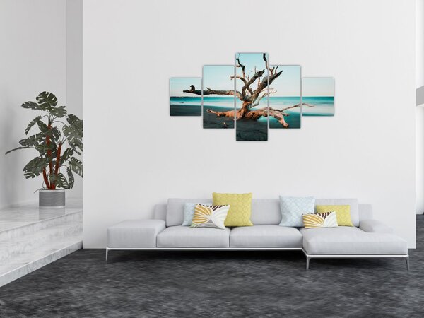 Obraz - Wyłowiono na plaży (125x70 cm)