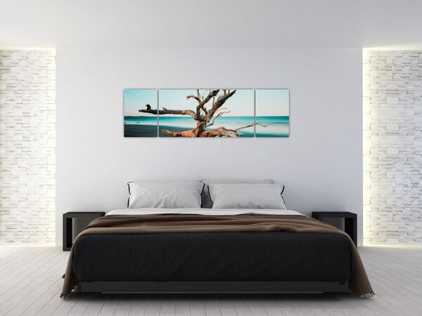 Obraz - Wyłowiono na plaży (170x50 cm)