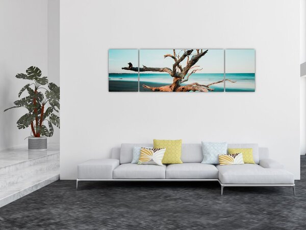 Obraz - Wyłowiono na plaży (170x50 cm)