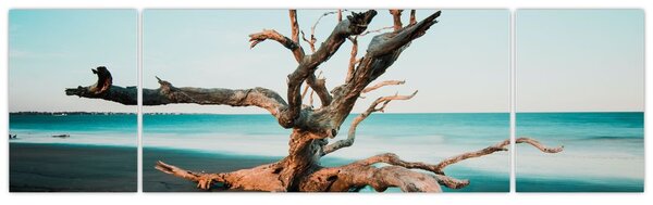Obraz - Wyłowiono na plaży (170x50 cm)
