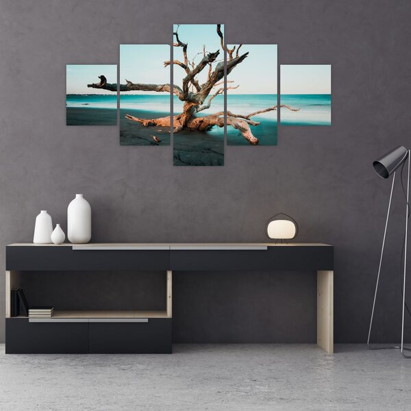 Obraz - Wyłowiono na plaży (125x70 cm)