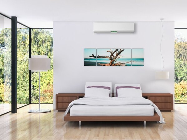 Obraz - Wyłowiono na plaży (170x50 cm)