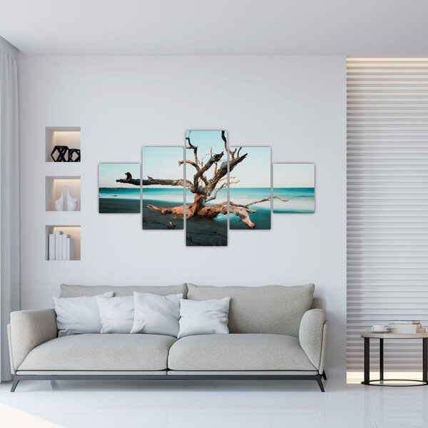 Obraz - Wyłowiono na plaży (125x70 cm)