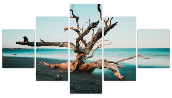 Obraz - Wyłowiono na plaży (125x70 cm)