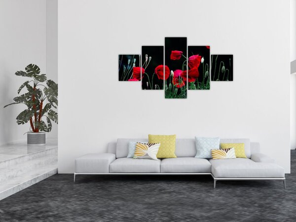 Obraz - Taniec maków (125x70 cm)