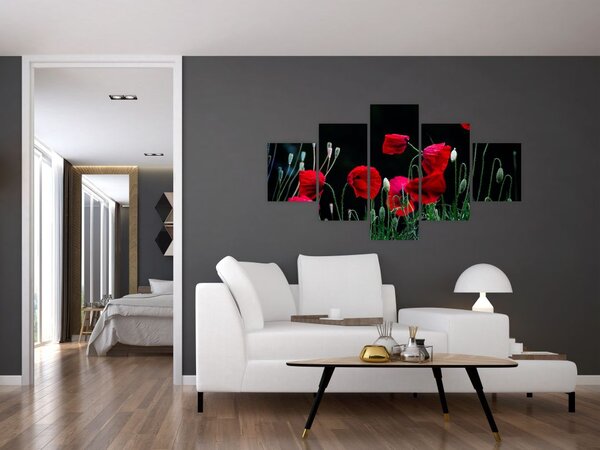 Obraz - Taniec maków (125x70 cm)