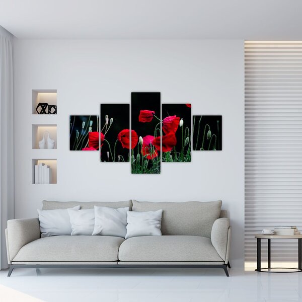 Obraz - Taniec maków (125x70 cm)