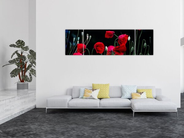 Obraz - Taniec maków (170x50 cm)