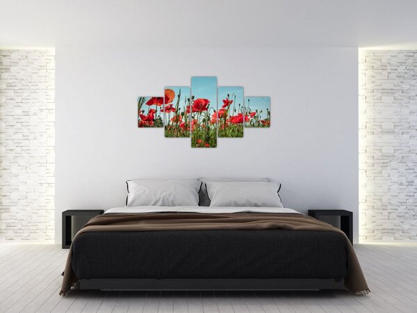 Obraz - Na polu maków (125x70 cm)