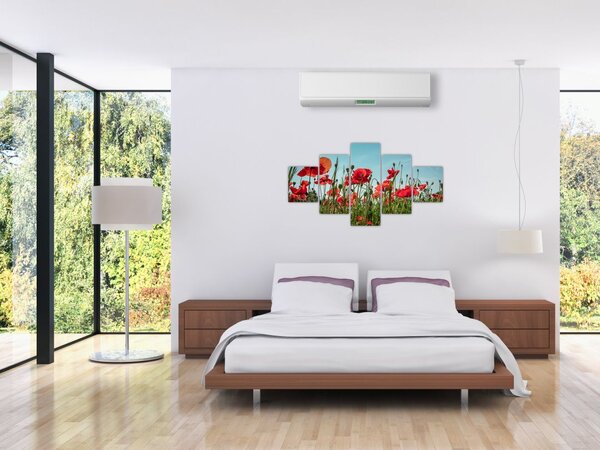 Obraz - Na polu maków (125x70 cm)