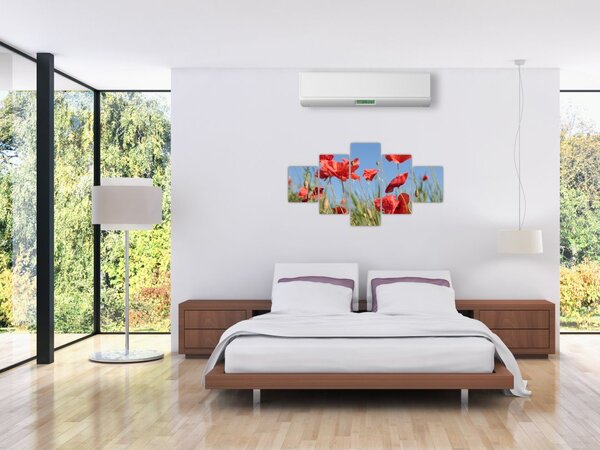 Obraz - Maki (125x70 cm)