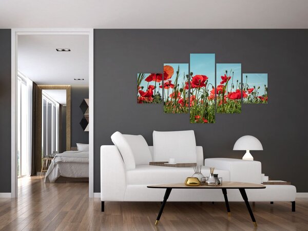 Obraz - Na polu maków (125x70 cm)