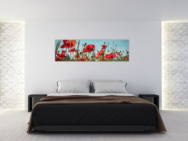 Obraz - Na polu maków (170x50 cm)