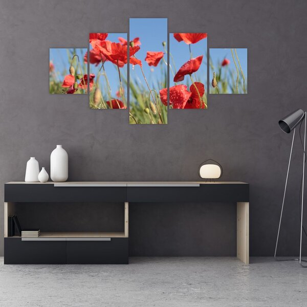 Obraz - Maki (125x70 cm)
