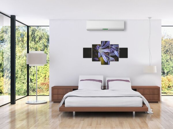 Obraz - Lilia (125x70 cm)