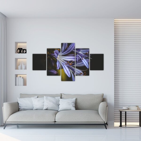 Obraz - Lilia (125x70 cm)