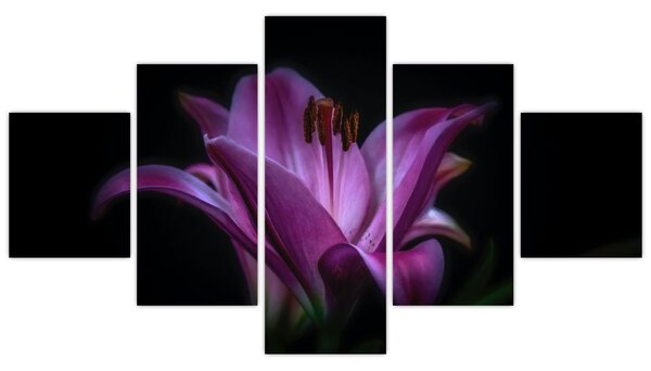 Obraz lilii (125x70 cm)