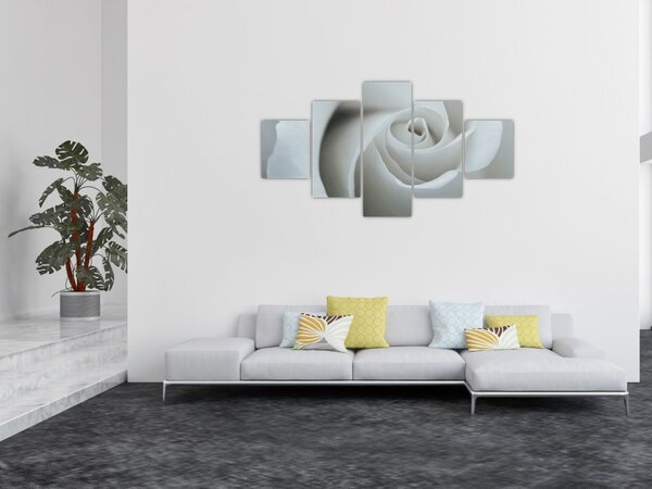Obraz - Biała róża (125x70 cm)