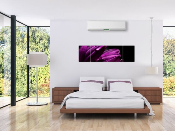 Obraz - Kropla wody (170x50 cm)
