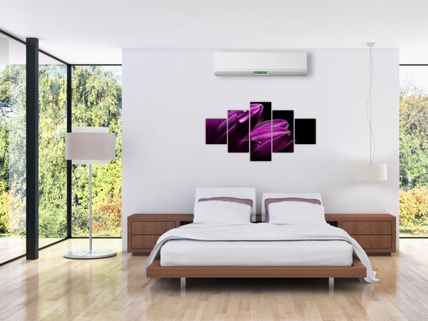 Obraz - Kropla wody (125x70 cm)