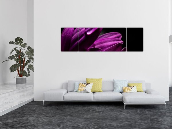 Obraz - Kropla wody (170x50 cm)