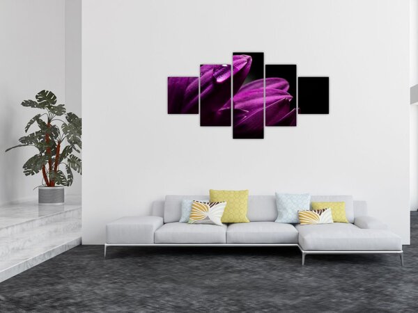 Obraz - Kropla wody (125x70 cm)