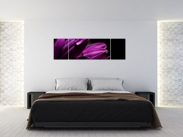 Obraz - Kropla wody (170x50 cm)