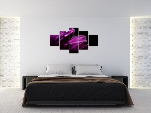 Obraz - Kropla wody (125x70 cm)
