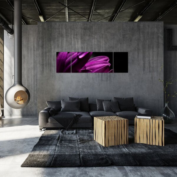 Obraz - Kropla wody (170x50 cm)