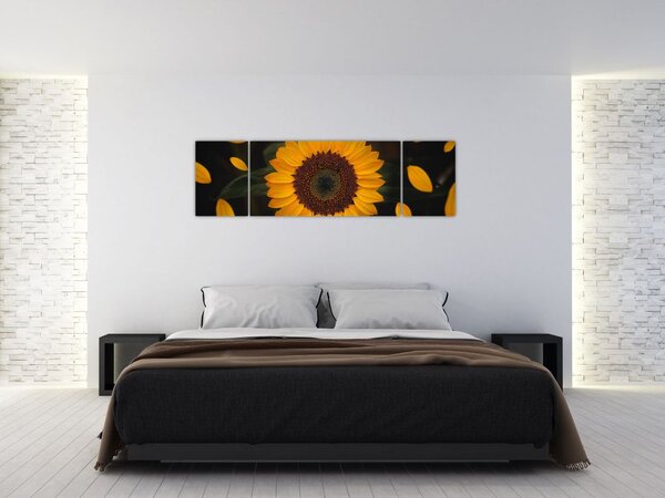Obraz - Słonecznik i płatki kwiatów (170x50 cm)